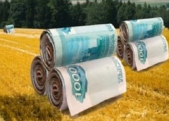 В Калужской области фермер-мошенник получил субсидию на сумму более 530 тысяч рублей