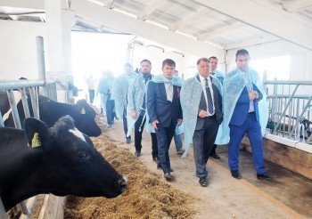 Новая роботизированная ферма и цех по переработке молока появились в регионе