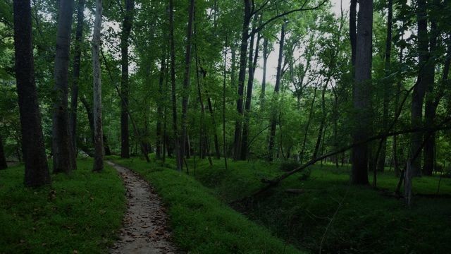 Гурьяновский лес обнинск карта