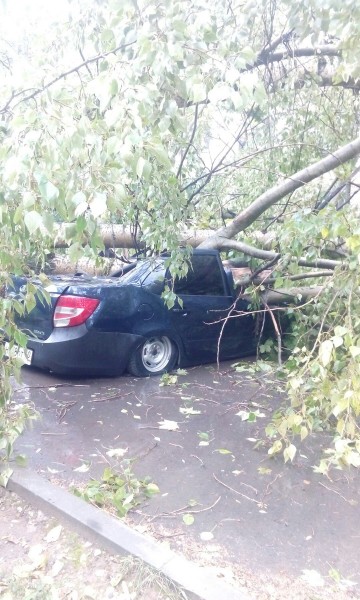 Калуга бури. Ураган в Калужской области. Ураган в Калуге вчера. Ураган в Калужской области вчера. Калуга аварийные деревья.