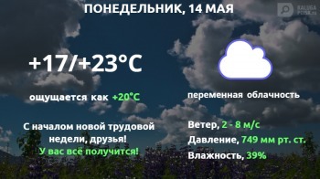 Погода калужская на 10 дней. Погода в Калуге на неделю на 7 дней точный. Погода в Калуге на 10 дней. Погода на неделю в Калуге Калуге 7 дней. Прогноз погоды в Калуге на 14 дней.