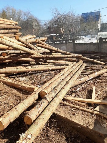 Директору лесопилки грозит штраф до 4 млн рублей за иностранных работников