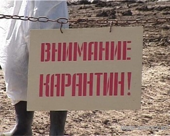 В двух районах Калужской области введён карантин по оспе
