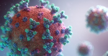 Уровень заболеваемости коронавирусом в Калужской области вернулся к июньским показателям