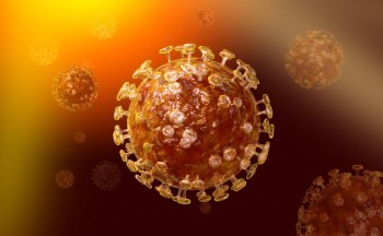 Информация о ситуации с коронавирусом в Калужской области на 13 октября