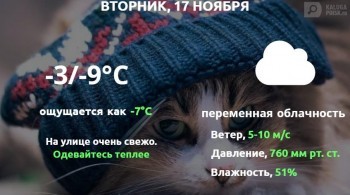 Прогноз погоды в Калуге на 17 ноября