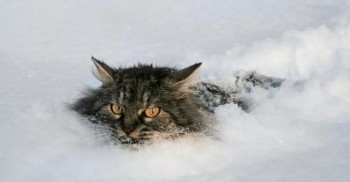 На Калужскую область надвигается снежный циклон