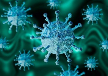 Информация о ситуации с коронавирусом в Калужской области на 31 декабря