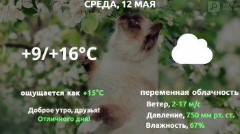 Прогноз погоды в Калуге на 12 мая