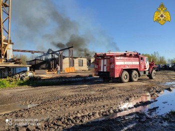 Утром в Калужской области сгорела пилорама