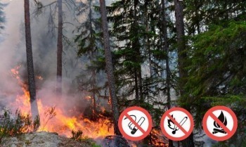 В Калужской области объявили четвертый класс пожарной опасности