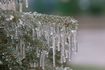 МЧС предупреждает калужан о ледяном дожде