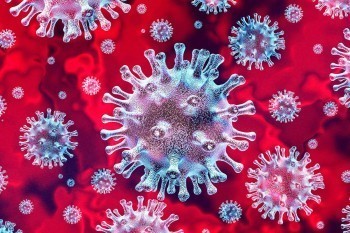 В Калужской области еще 6 человек скончались от коронавируса