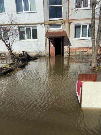 В деревне Шопино два дома затопило талыми водами