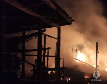 В Калужской области выгорела пилорама
