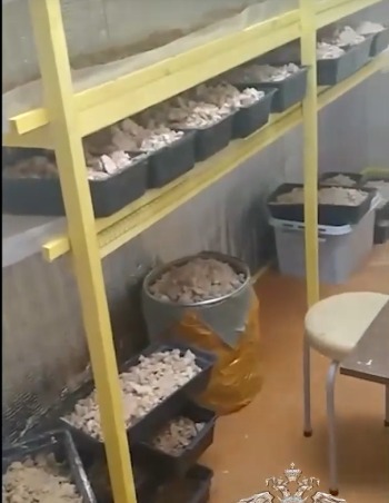 Изготовителям 200 кг наркотиков в калужской деревне грозит пожизненный срок