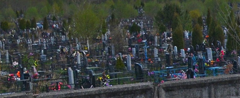 В Калуге вырубят больше 1200 деревьев для очередного участка Литвиновского кладбища 