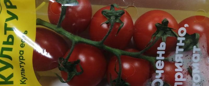 В Калужской области снизились цены на огурцы и помидоры