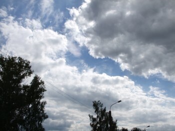 В Калужской области прогнозируют дождливые дни
