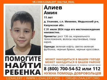 В Калужской области ищут 11-летнего мальчика