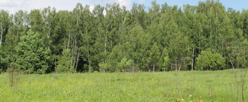Около 285 га земли в Калужской области используют для создания туристических объектов