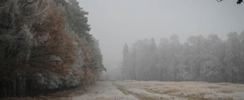 Kaluga-Poisk.ru