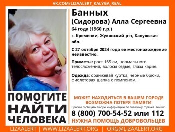 В Калужской области пропала 64-летняя женщина