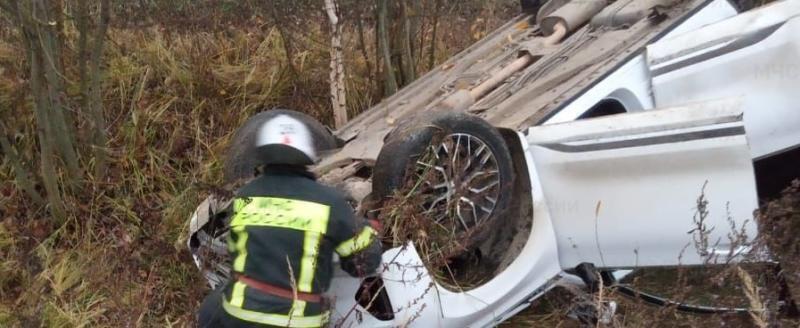 Калуга до и после фото На калужской дороге иномарка слетела в кювет после столкновения с коровой