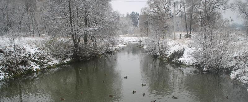 Kaluga-Poisk.ru