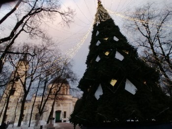 В калужском парке уже установили 22-метровую новогоднюю ёлку