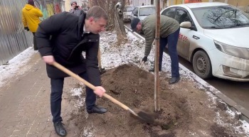 В Калуге на Воскресенской улице посадили яблони