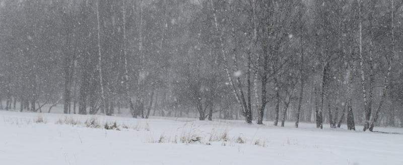 Фото: Kaluga-poisk.ru