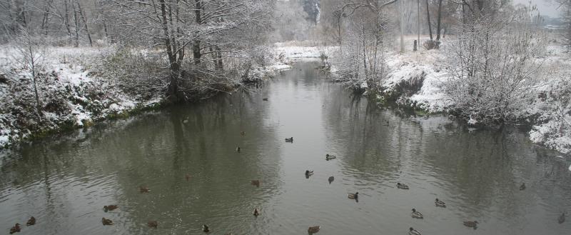 Kaluga-Poisk.ru