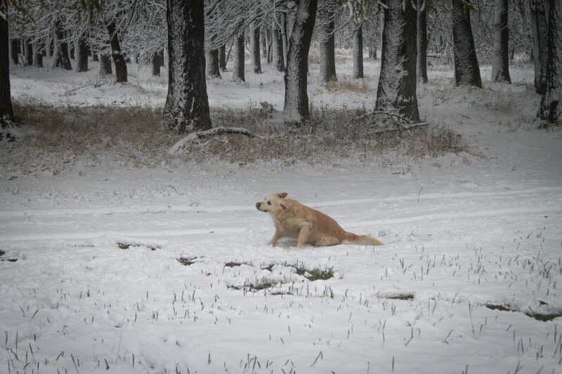 kaluga-poisk.ru