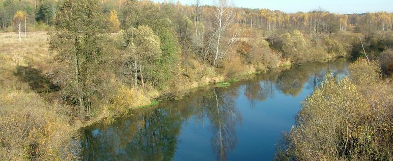 Фото: Kaluga-poisk.ru