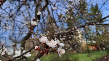 Афиша праздничных мероприятий, запланированных на 8 марта в Калуге