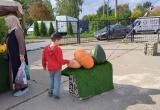 Фото: Kaluga-poisk.ru Фото: Kaluga-poisk.ru