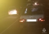 На неосвещенной дороге в Калужской области водитель "Девятки" сбил лося