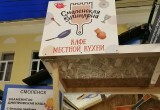 В Калуге стартовал фестиваль "Калуга. Улица. Еда"