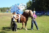 Пресс-служба Городской Думы города Калуги